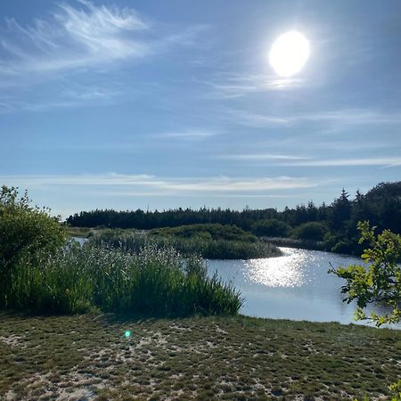 Zijperweg Vakantiehuis Vlakbij Zee, Strand En Bos Petten Exteriör bild