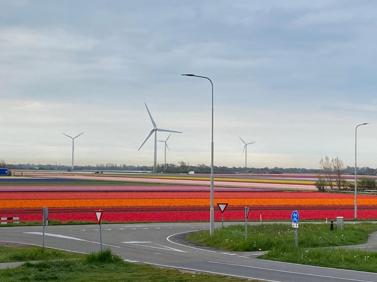 Zijperweg Vakantiehuis Vlakbij Zee, Strand En Bos Petten Exteriör bild