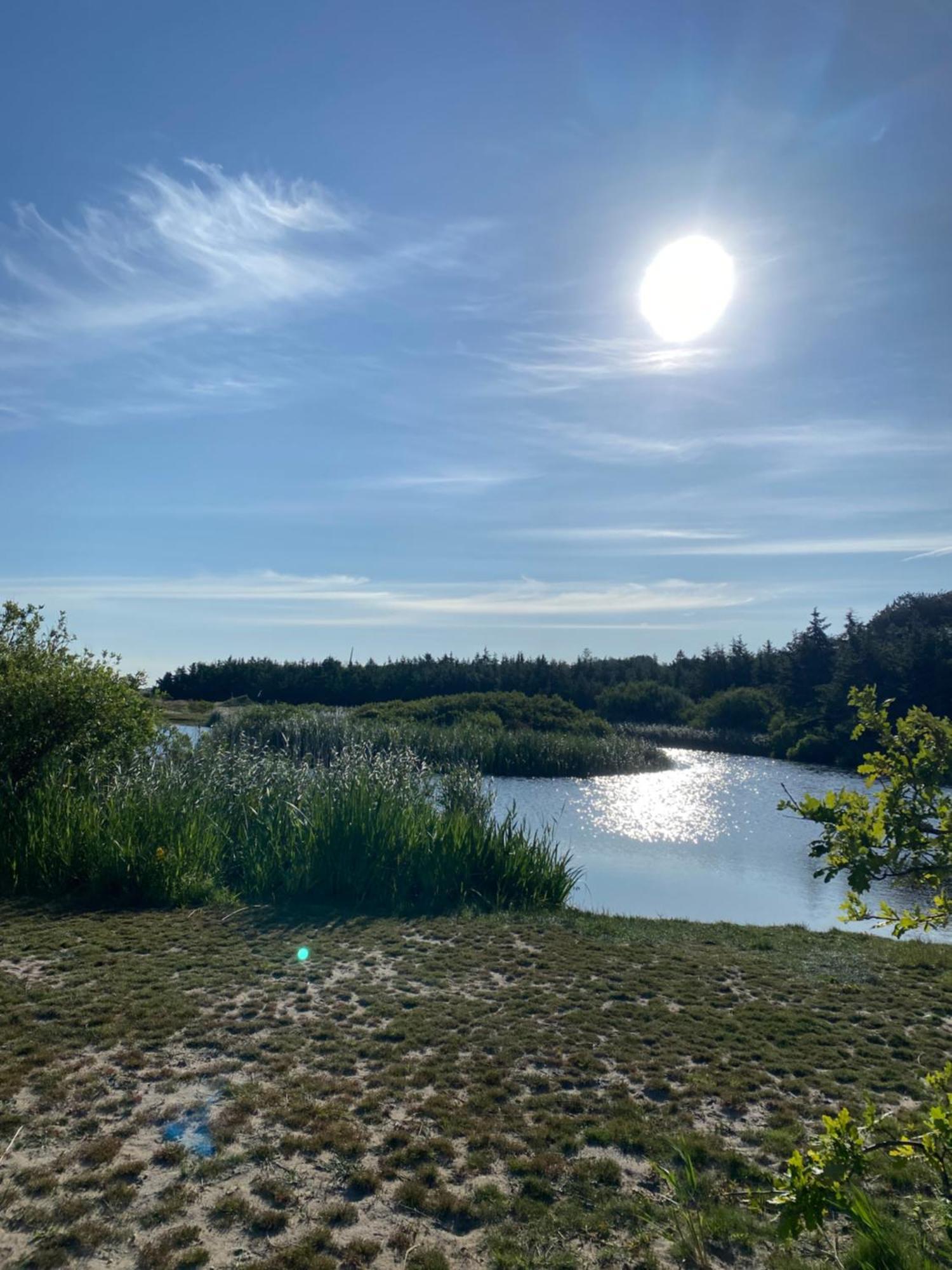 Zijperweg Vakantiehuis Vlakbij Zee, Strand En Bos Petten Exteriör bild